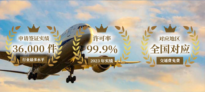 Temporary Visitor Visa